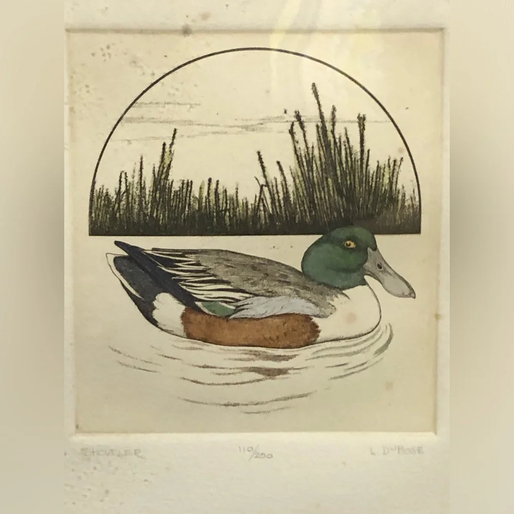 2258 Set Canvas Back /Shoveler Duck Prints by L. DuBose Signed & Numbered Framed